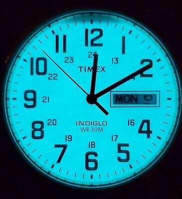 ZEGAREK MĘSKI TIMEX South Street Sport T2M932 + BOX