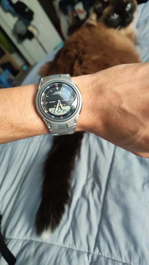 Zegarek Casio AW-80D-1AVES (zd137a)